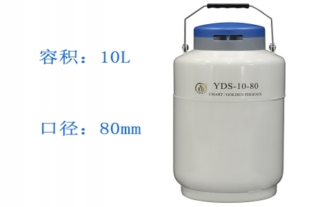金鳳貯藏型液氮罐YDS-10-80 金鳳貯藏型液氮罐YDS-10-80