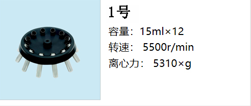 新1號轉子.jpg