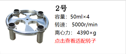 新轉子2.jpg