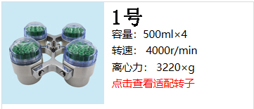轉子1.jpg